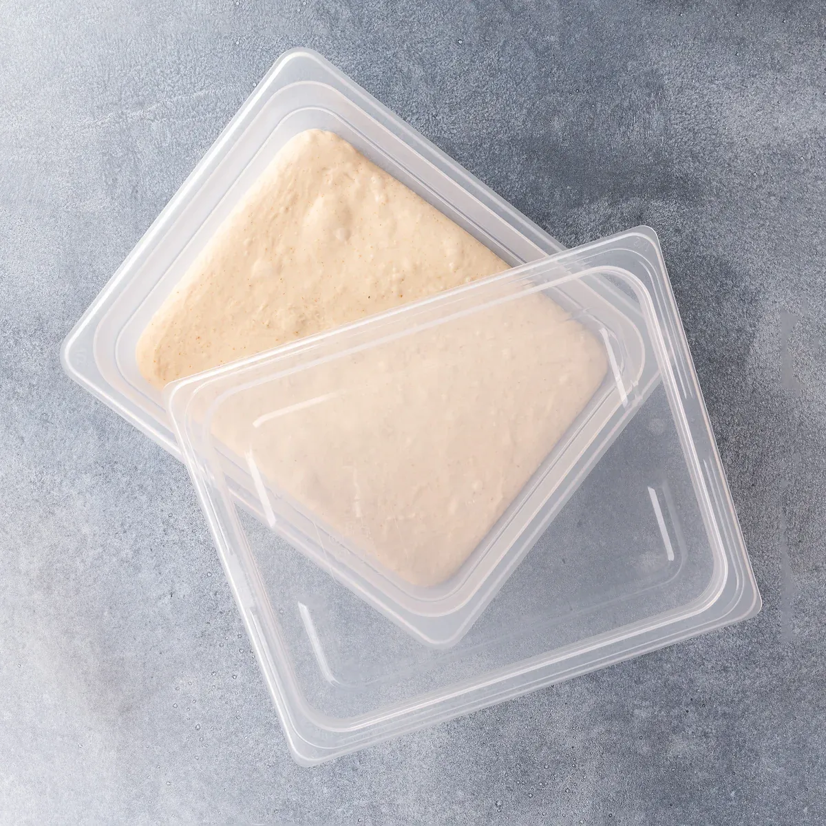 Brød&Taylor Proofing Container 6L deegbak 6 liter BPA-vrij
