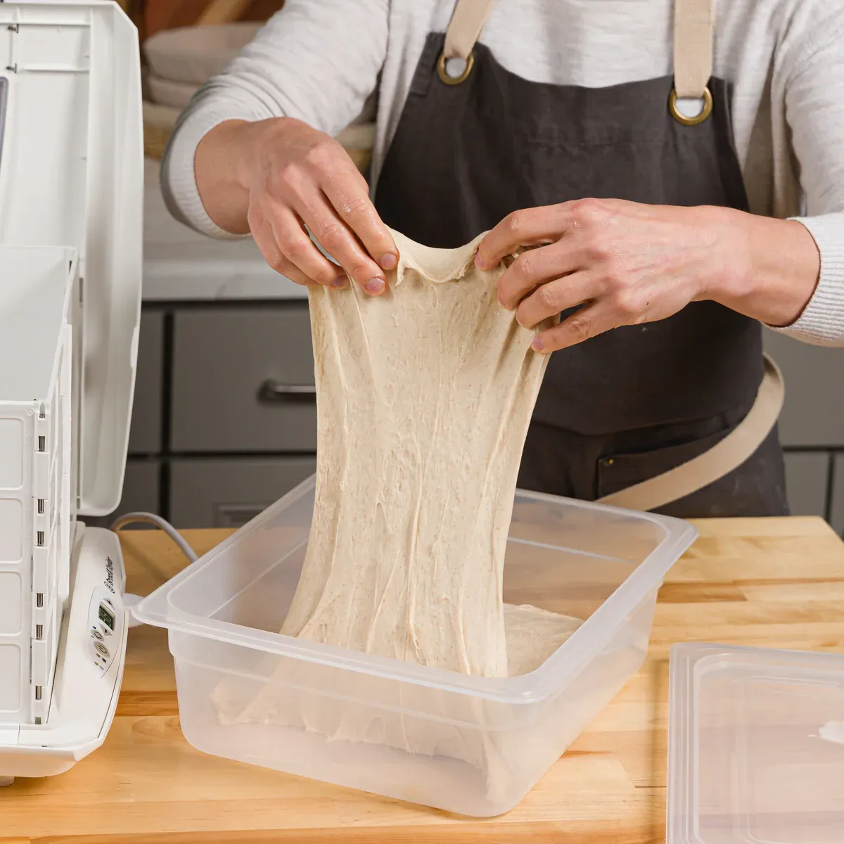Brød&Taylor Proofing Container 6L deegbak 6 liter BPA-vrij