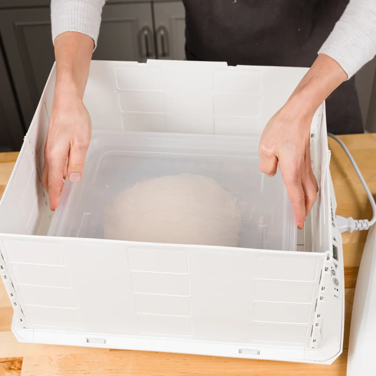 Brød&Taylor Proofing Container 6L deegbak 6 liter BPA-vrij