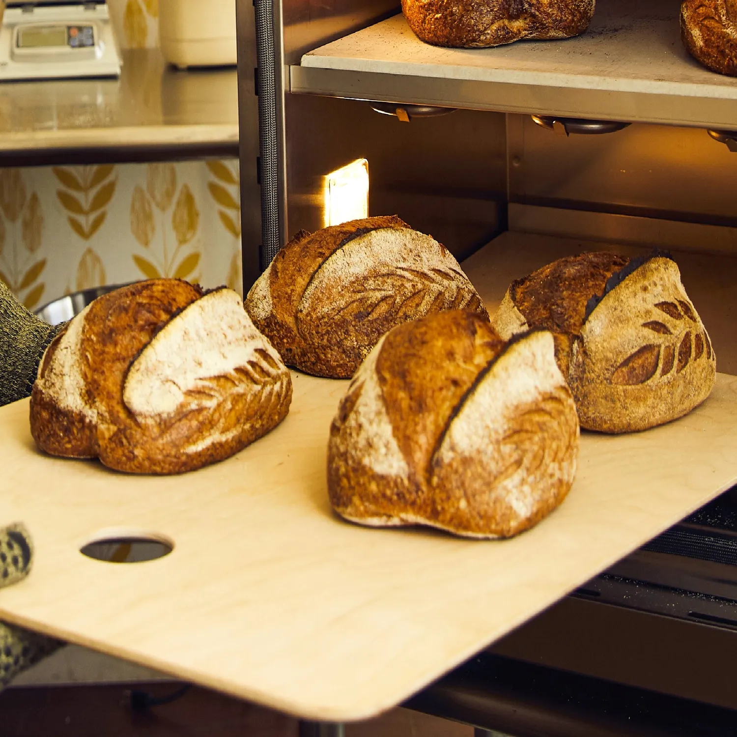 Simply Bread broodschep 50x76 cm multiplex